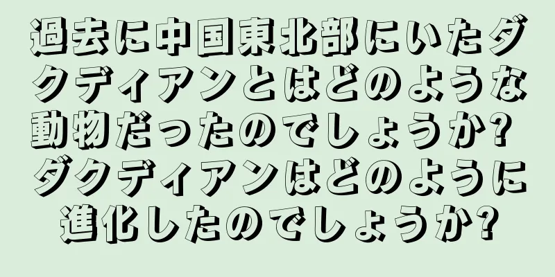 過去に中国東北部にいたダクディアンとはどのような動物だったのでしょうか? ダクディアンはどのように進化したのでしょうか?