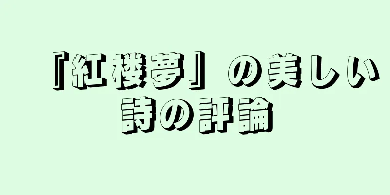 『紅楼夢』の美しい詩の評論
