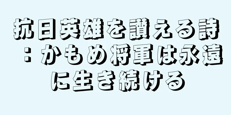 抗日英雄を讃える詩：かもめ将軍は永遠に生き続ける