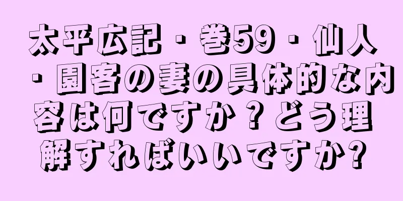 太平広記・巻59・仙人・園客の妻の具体的な内容は何ですか？どう理解すればいいですか?