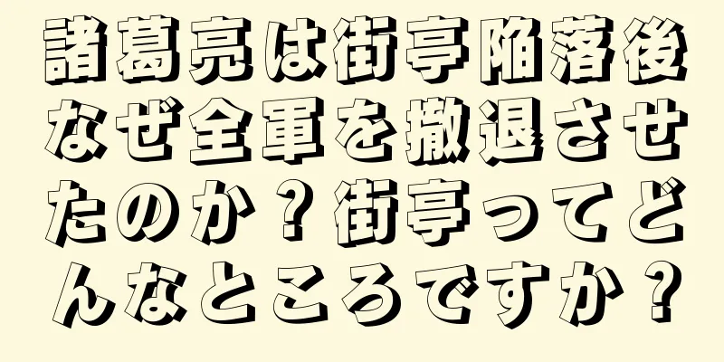 諸葛亮は街亭陥落後なぜ全軍を撤退させたのか？街亭ってどんなところですか？