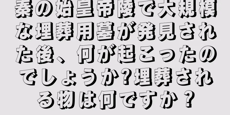 秦の始皇帝陵で大規模な埋葬用墓が発見された後、何が起こったのでしょうか?埋葬される物は何ですか？