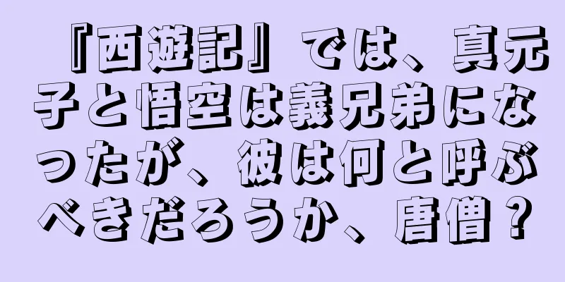 『西遊記』では、真元子と悟空は義兄弟になったが、彼は何と呼ぶべきだろうか、唐僧？