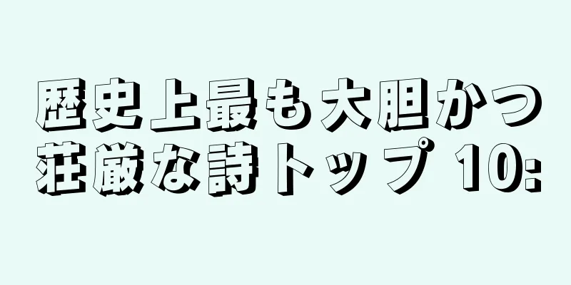 歴史上最も大胆かつ荘厳な詩トップ 10: