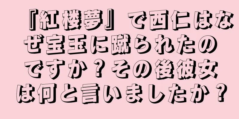 『紅楼夢』で西仁はなぜ宝玉に蹴られたのですか？その後彼女は何と言いましたか？