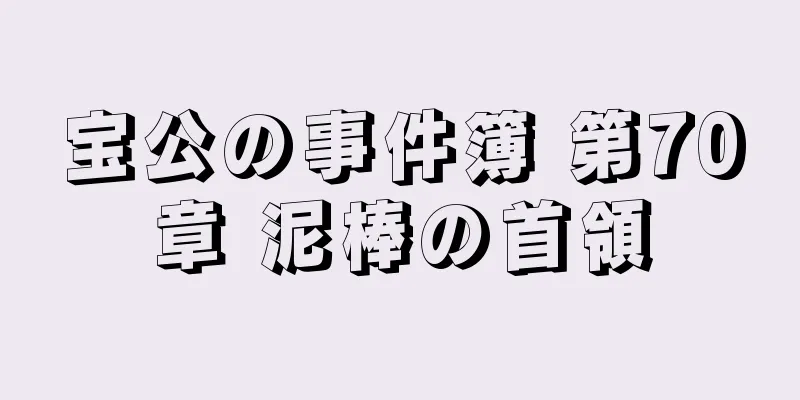 宝公の事件簿 第70章 泥棒の首領