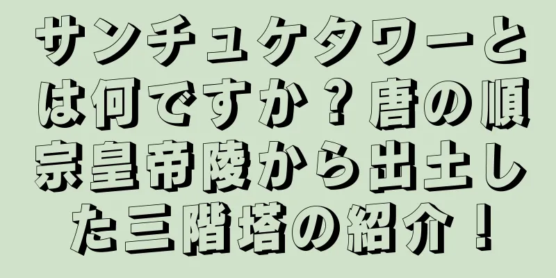 サンチュケタワーとは何ですか？唐の順宗皇帝陵から出土した三階塔の紹介！