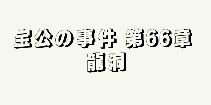 宝公の事件 第66章 龍洞