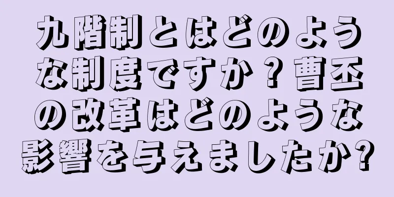 九階制とはどのような制度ですか？曹丕の改革はどのような影響を与えましたか?