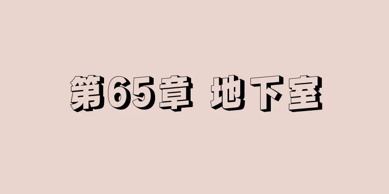 第65章 地下室