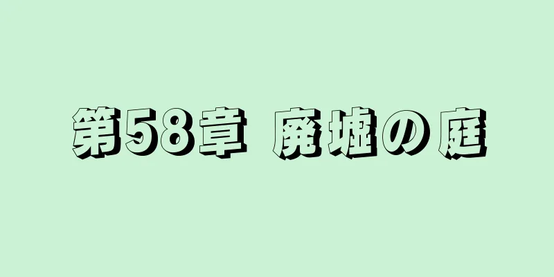 第58章 廃墟の庭