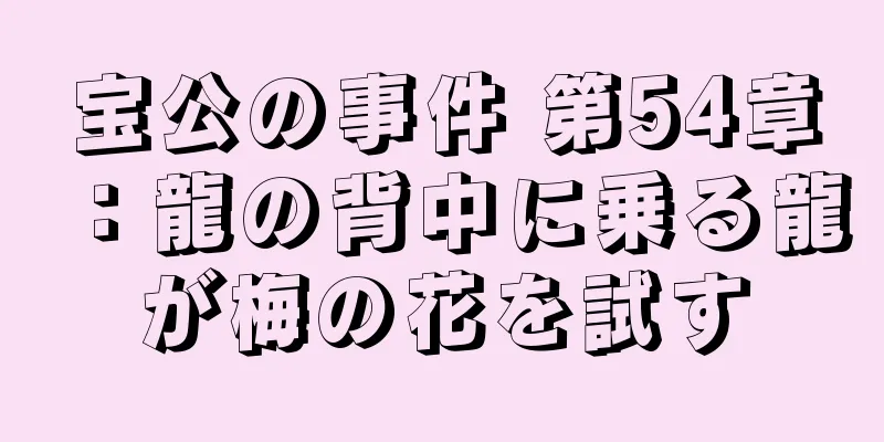 宝公の事件 第54章：龍の背中に乗る龍が梅の花を試す