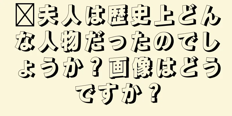 邢夫人は歴史上どんな人物だったのでしょうか？画像はどうですか？