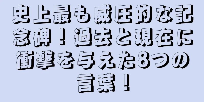 史上最も威圧的な記念碑！過去と現在に衝撃を与えた8つの言葉！