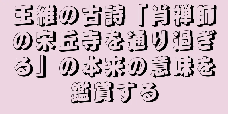 王維の古詩「肖禅師の宋丘寺を通り過ぎる」の本来の意味を鑑賞する