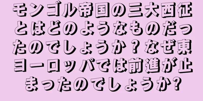 モンゴル帝国の三大西征とはどのようなものだったのでしょうか？なぜ東ヨーロッパでは前進が止まったのでしょうか?