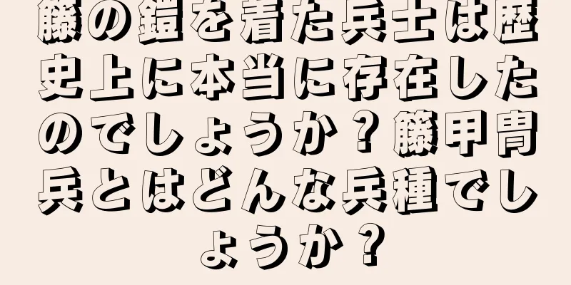 籐の鎧を着た兵士は歴史上に本当に存在したのでしょうか？籐甲冑兵とはどんな兵種でしょうか？