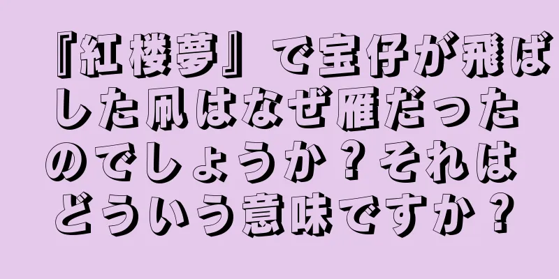 『紅楼夢』で宝仔が飛ばした凧はなぜ雁だったのでしょうか？それはどういう意味ですか？