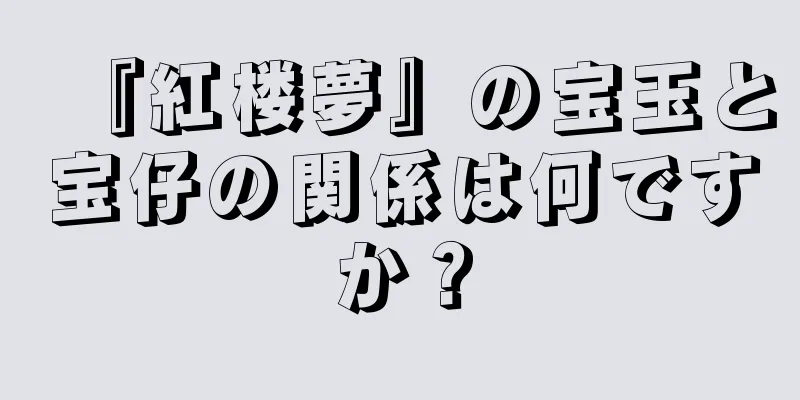 『紅楼夢』の宝玉と宝仔の関係は何ですか？