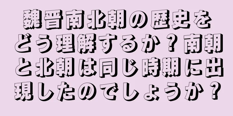 魏晋南北朝の歴史をどう理解するか？南朝と北朝は同じ時期に出現したのでしょうか？