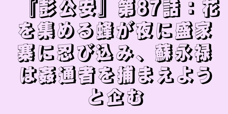 『彭公安』第87話：花を集める蜂が夜に盛家寨に忍び込み、蘇永禄は姦通者を捕まえようと企む