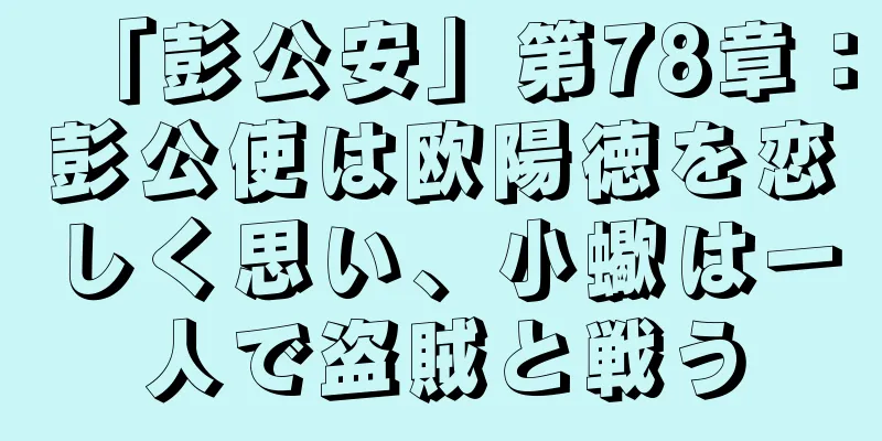 「彭公安」第78章：彭公使は欧陽徳を恋しく思い、小蠍は一人で盗賊と戦う