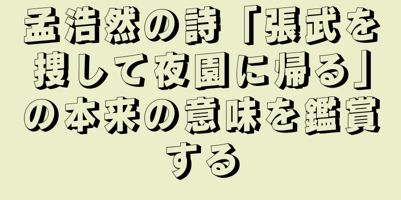 孟浩然の詩「張武を捜して夜園に帰る」の本来の意味を鑑賞する