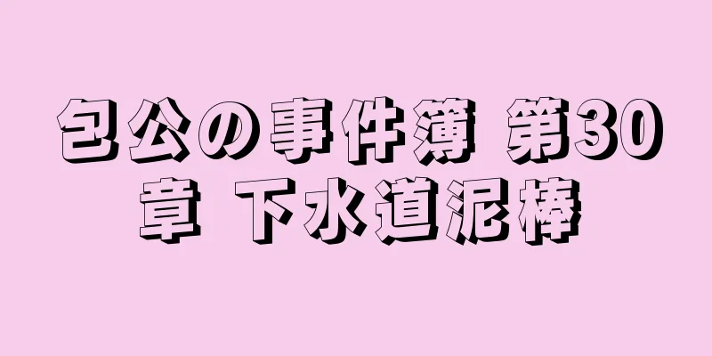 包公の事件簿 第30章 下水道泥棒