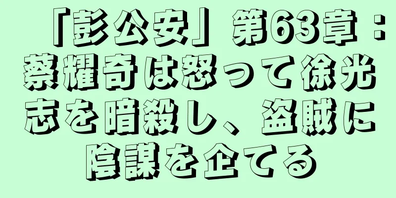 「彭公安」第63章：蔡耀奇は怒って徐光志を暗殺し、盗賊に陰謀を企てる