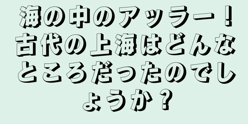 海の中のアッラー！古代の上海はどんなところだったのでしょうか？