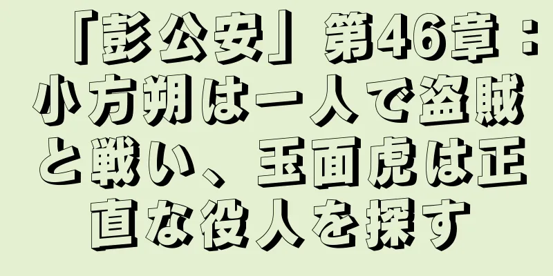 「彭公安」第46章：小方朔は一人で盗賊と戦い、玉面虎は正直な役人を探す