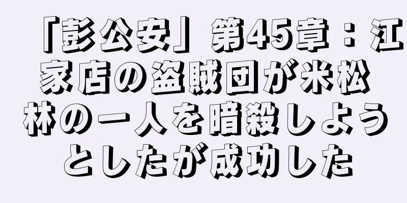 「彭公安」第45章：江家店の盗賊団が米松林の一人を暗殺しようとしたが成功した