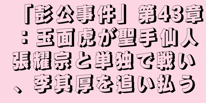 「彭公事件」第43章：玉面虎が聖手仙人張耀宗と単独で戦い、李其厚を追い払う