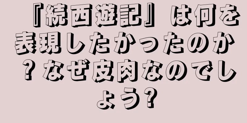 『続西遊記』は何を表現したかったのか？なぜ皮肉なのでしょう?