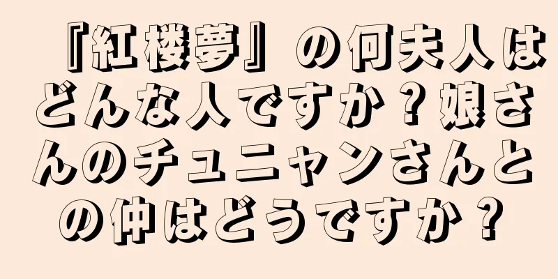 『紅楼夢』の何夫人はどんな人ですか？娘さんのチュニャンさんとの仲はどうですか？