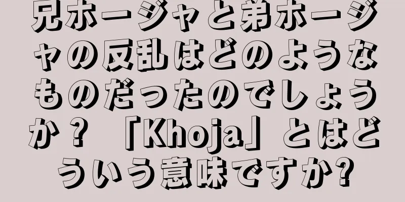 兄ホージャと弟ホージャの反乱はどのようなものだったのでしょうか？ 「Khoja」とはどういう意味ですか?