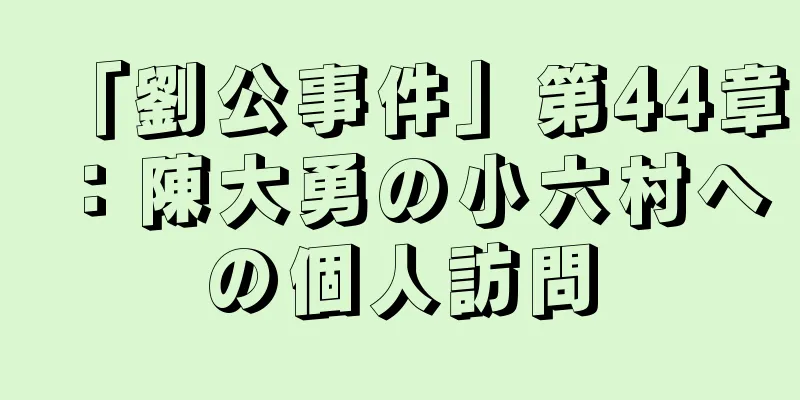 「劉公事件」第44章：陳大勇の小六村への個人訪問