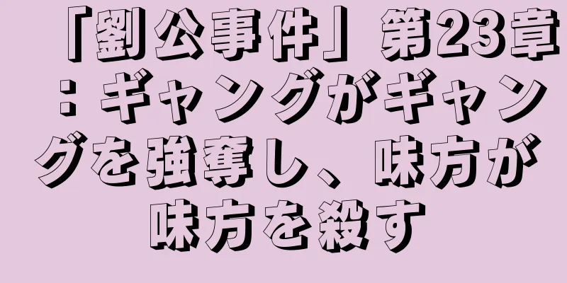「劉公事件」第23章：ギャングがギャングを強奪し、味方が味方を殺す
