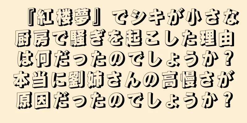 『紅楼夢』でシキが小さな厨房で騒ぎを起こした理由は何だったのでしょうか？本当に劉姉さんの高慢さが原因だったのでしょうか？