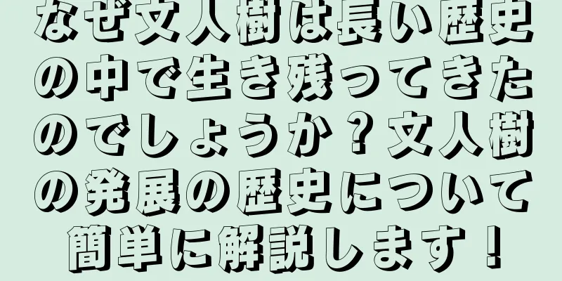 なぜ文人樹は長い歴史の中で生き残ってきたのでしょうか？文人樹の発展の歴史について簡単に解説します！