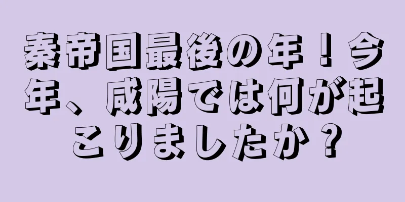 秦帝国最後の年！今年、咸陽では何が起こりましたか？