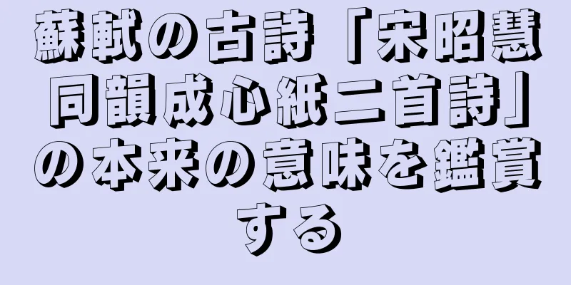 蘇軾の古詩「宋昭慧同韻成心紙二首詩」の本来の意味を鑑賞する