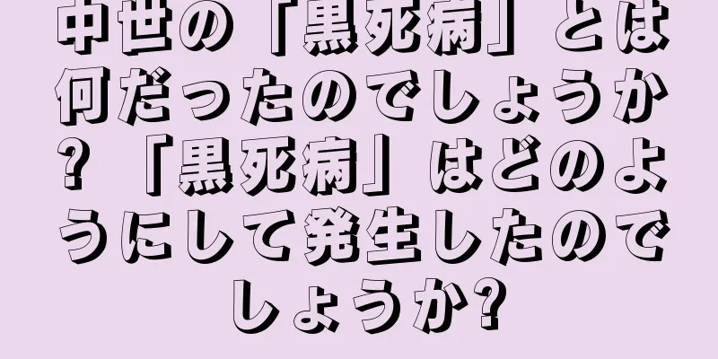 中世の「黒死病」とは何だったのでしょうか? 「黒死病」はどのようにして発生したのでしょうか?
