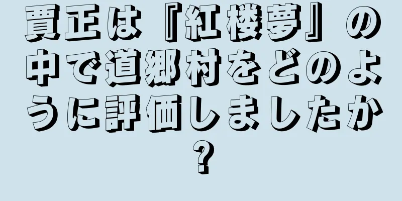 賈正は『紅楼夢』の中で道郷村をどのように評価しましたか?