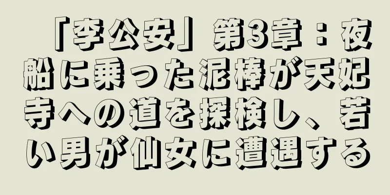 「李公安」第3章：夜船に乗った泥棒が天妃寺への道を探検し、若い男が仙女に遭遇する