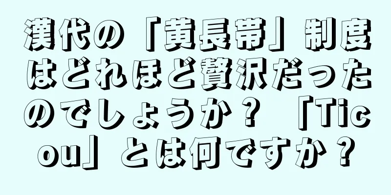 漢代の「黄長帯」制度はどれほど贅沢だったのでしょうか？ 「Ticou」とは何ですか？