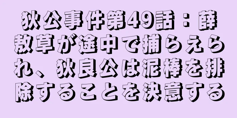 狄公事件第49話：薛敖草が途中で捕らえられ、狄良公は泥棒を排除することを決意する