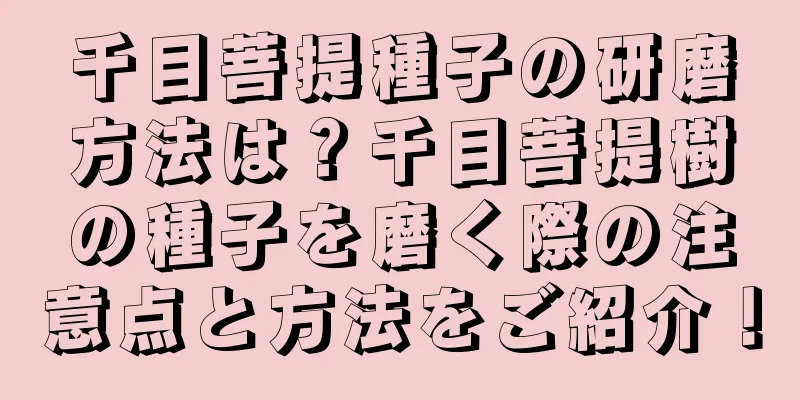 千目菩提種子の研磨方法は？千目菩提樹の種子を磨く際の注意点と方法をご紹介！