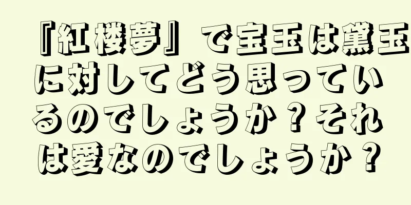 『紅楼夢』で宝玉は黛玉に対してどう思っているのでしょうか？それは愛なのでしょうか？