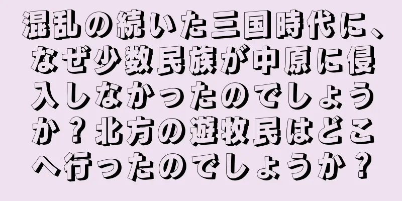 混乱の続いた三国時代に、なぜ少数民族が中原に侵入しなかったのでしょうか？北方の遊牧民はどこへ行ったのでしょうか？